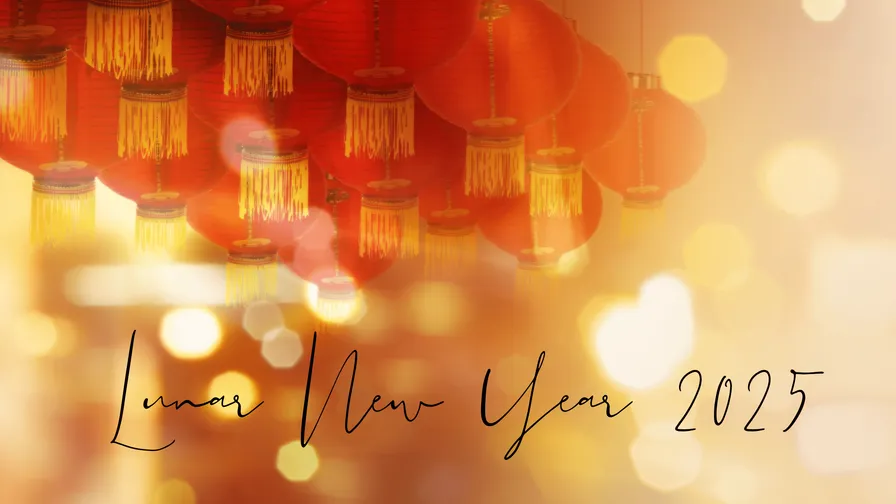 Celebrate the Lunar New Year 2025 with Artistic and Environment Friendly Gifts by artist Xiang Li